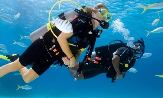 Scuba Diving Briefing Guide